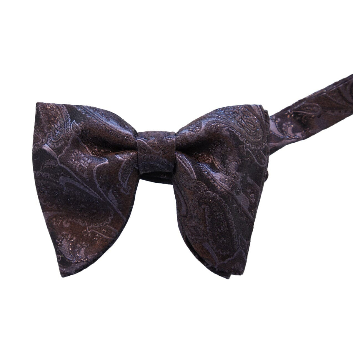 Nero Paisley Jumbo Pre Tied Butterfly Bow Tie